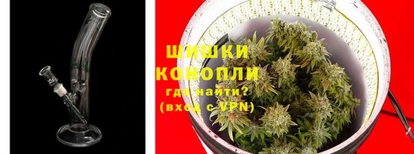 прущая мука Каменка