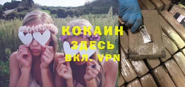 прущая мука Каменка