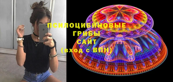 mdpv Инсар
