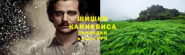 mdpv Инсар